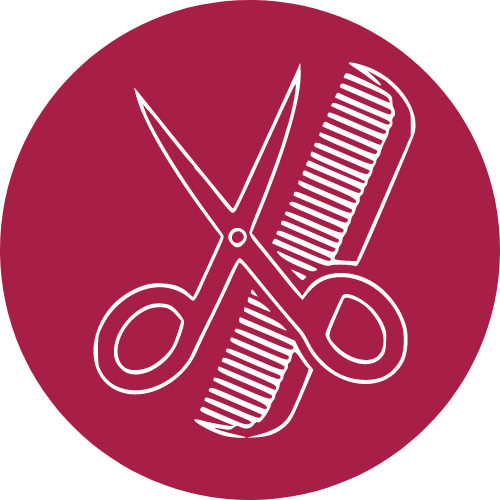 Hair handling icon